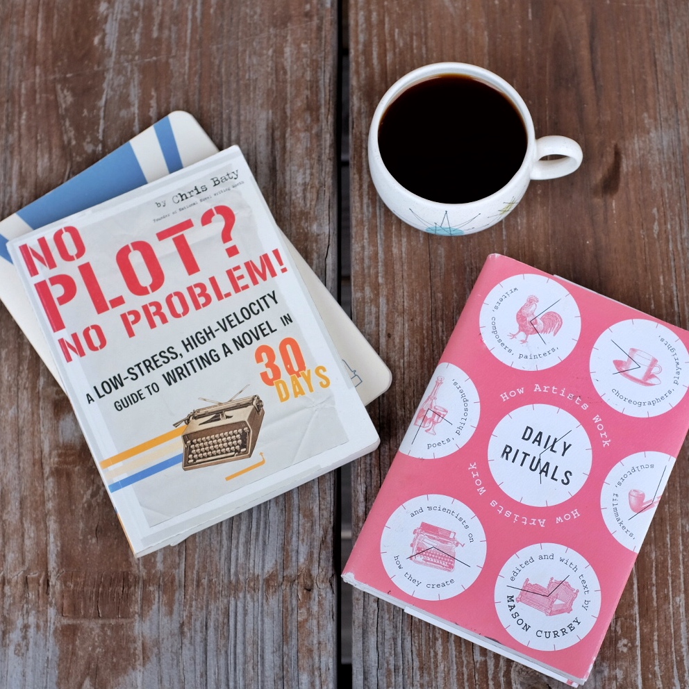 no plot no problem daily rituals books