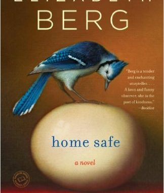 home safe berg